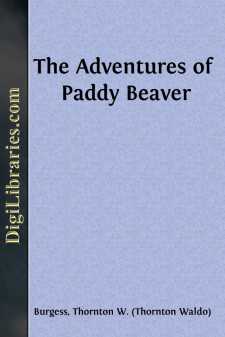 The Adventures of Paddy Beaver