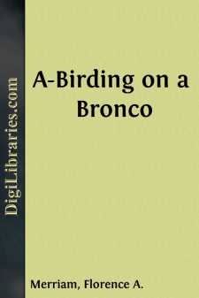 A-Birding on a Bronco