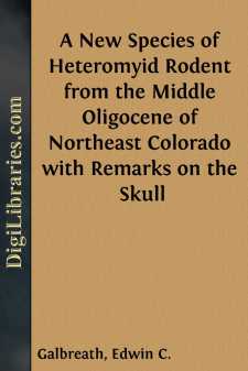 A New Species of Heteromyid Rodent from the Middle Oligocene of...