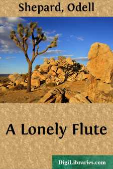 A Lonely Flute
