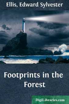 Footprints in the Forest