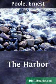 The Harbor