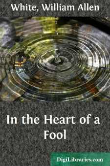 In the Heart of a Fool