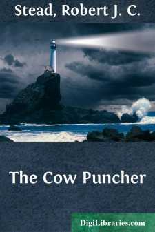The Cow Puncher