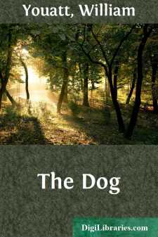 The Dog