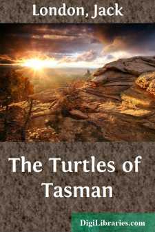 The Turtles of Tasman