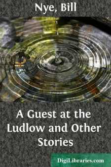 A Guest at the Ludlow and Other Stories