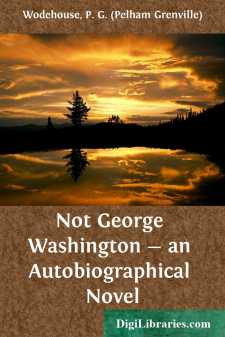 Not George Washington - an Autobiographical Novel