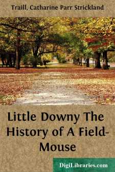 Little Downy
The History of A Field-Mouse