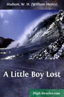 A Little Boy Lost