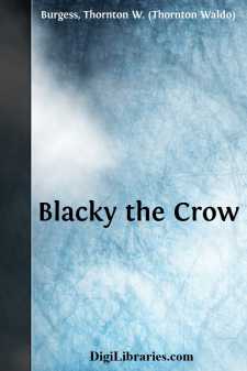 Blacky the Crow
