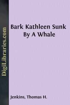 Bark Kathleen Sunk By A Whale