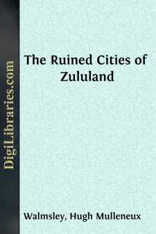 The Ruined Cities of Zululand