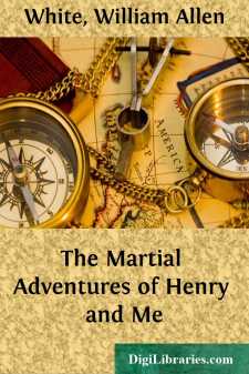 The Martial Adventures of Henry and Me