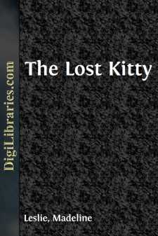 The Lost Kitty