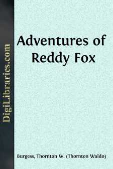 Adventures of Reddy Fox