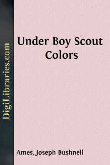 Under Boy Scout Colors