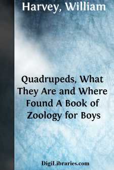 Quadrupeds, What They Are and Where Found
A Book of Zoology for Boys