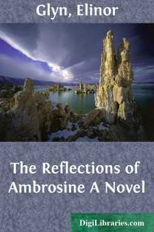 The Reflections of Ambrosine
A Novel
