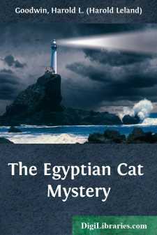 The Egyptian Cat Mystery