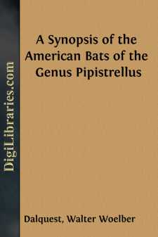 A Synopsis of the American Bats of the Genus Pipistrellus