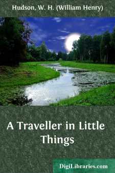 A Traveller in Little Things