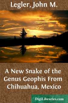 A New Snake of the Genus Geophis From Chihuahua, Mexico