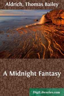 A Midnight Fantasy