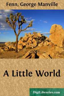 A Little World