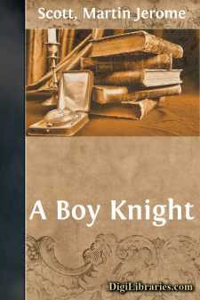 A Boy Knight
