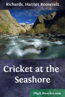 Cricket at the Seashore