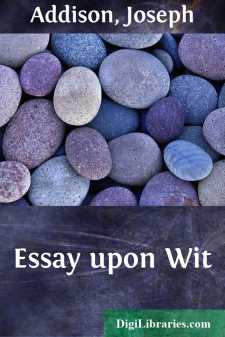 Essay upon Wit