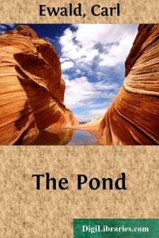 The Pond