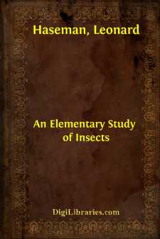 An Elementary Study of Insects