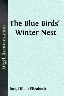 The Blue Birds' Winter Nest