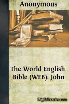 The World English Bible (WEB): John