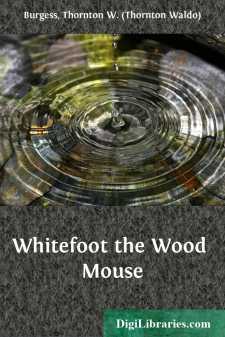 Whitefoot the Wood Mouse