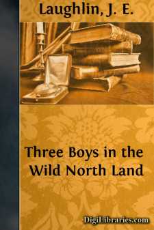 Three Boys in the Wild North Land