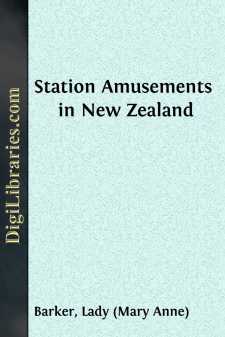 Station Amusements in New Zealand