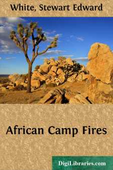 African Camp Fires