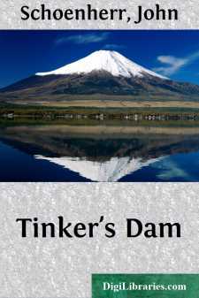 Tinker's Dam