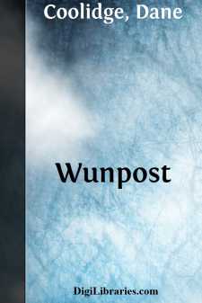 Wunpost