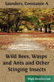 Wild Bees, Wasps and Ants
and Other Stinging Insects