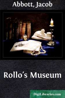 Rollo's Museum
