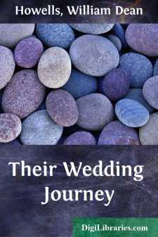 Their Wedding Journey