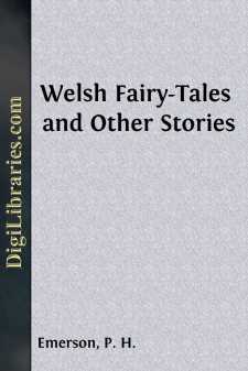 Welsh Fairy-Tales and Other Stories