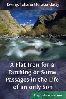 A Flat Iron for a Farthing
or Some Passages in the Life of an only Son